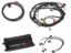 Dominator EFI Kit - LS2/LS3 Late Truck
