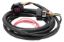 Dominator EFI DBW Harness - Early Truck