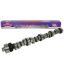 Ford 351C Hyd Roller Cam