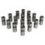 Ford V8 .874 Hyd Lifter Set - Direct Lube