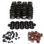 1.280 Valve Spring Kit Beehive