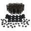 1.265 Valve Spring Kit Single w/Damp