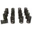 Single Valve Springs - 1.510