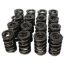 1.550 Dual Valve Springs .812 ID 16pk