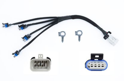 LS Coil Wire Harness