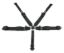 5-PT Harness Camlock Ind Shldr 3in to 2in Trans