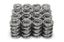 1.600 Dual RAD Valve Springs