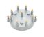 Cap  Distributor  Moroso