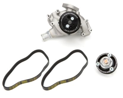 Drive Kit Serp. LS CT525 w/ Water Pump