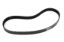 6-Rib Serp. Belt 32.5in