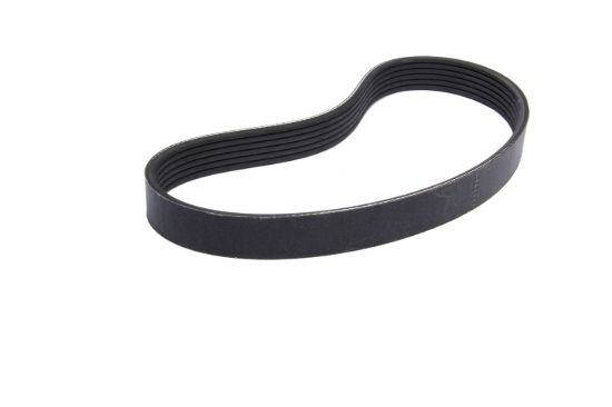 6-Rib Serp. Belt 34.5in