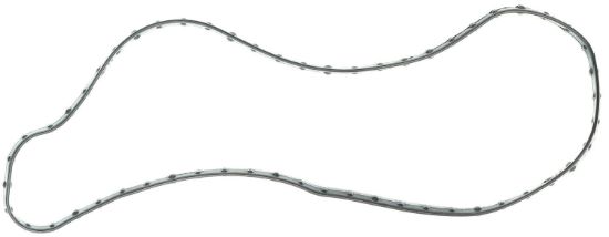 Crankshaft Seal Retainer 20-22 Ford 7.3L