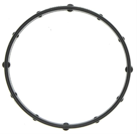 Thermostat Seal 14-22 Chevy 5.3L 6.2L