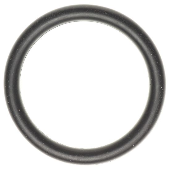 Coolant Pipe O-Ring 11-24 Ford 5.0L