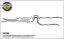 Cat-Back Exhaust Kit