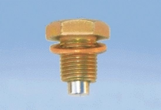 Magnetic Drain Plug