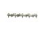 Gen-3 Hemi Intake Rocker Arm Assy. 03-25