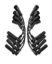 Ultra Plug Wire Set GM LS 11.0 Long Black