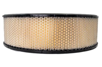 Filter Air 14in Dia x 4in Street