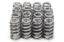 RPM Series Valve Springs - Beehive (16)