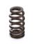 1.290 Valve Spring - Ovate Beehive (1)