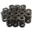 1.625 Dual Valve Springs (16)