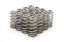 1.345 Valve Springs - Ovate Beehive (16)