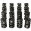 1.645 Triple Valve Springs (16)