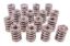 1.545 Dual Valve Springs (16)