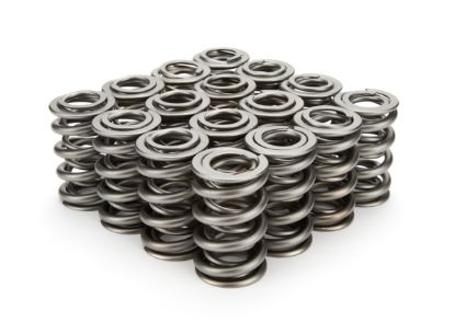 1.550 Dual Valve Springs (16)