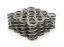 1.550 Dual Valve Springs (16)