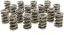 1.550 Dual Valve Springs (16)