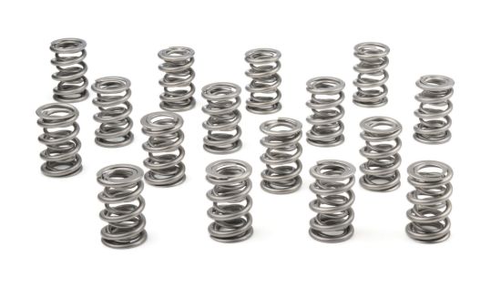 1.625 Dual Valve Springs (16)