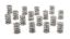 1.625 Dual Valve Springs (16)