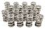 1.300 Dual Valve Springs (16)