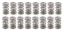 1.300 Dual Valve Springs Drag Race (16)