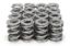 1.570 Dual Valve Springs 1300 Series C/T (16)