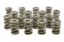 1.645 Triple Valve Springs (16)
