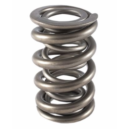 1.500 Dual Valve Spring (1)