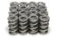 1.500 Dual Valve Springs (16)