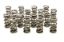 1.500 Dual Valve Springs (16)
