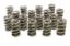 1.574 Dual Valve Springs (16)