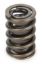 Valve Spring - HR Series (1)