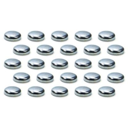 Expansion Plugs - 1in 100pk