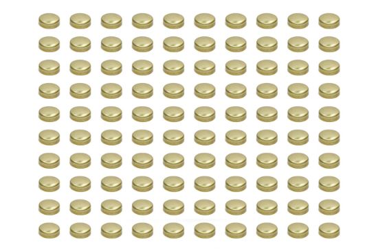 Expansion Plugs - 1-5/8 Brass (100pk)