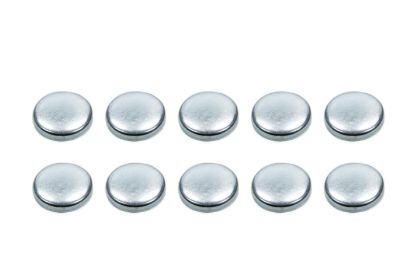 Expansion Plugs - 2-1/2 (10)