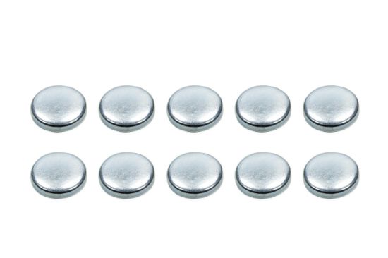Expansion Plugs - 2-1/2 (10)