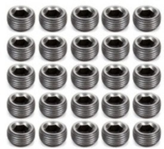 Pipe Plugs - 3/8 (25)