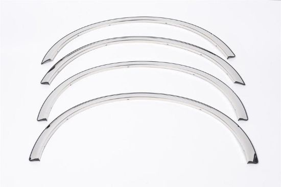 Stainless Steel Fender Trim Kit