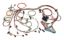 98-02 GM LS1 Fuel Inj. Wiring Harness